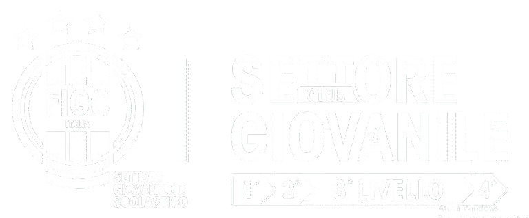 Scuola Calcio Elite — Settore Giovanile e Scolastico FIGC, Club 3° Livello